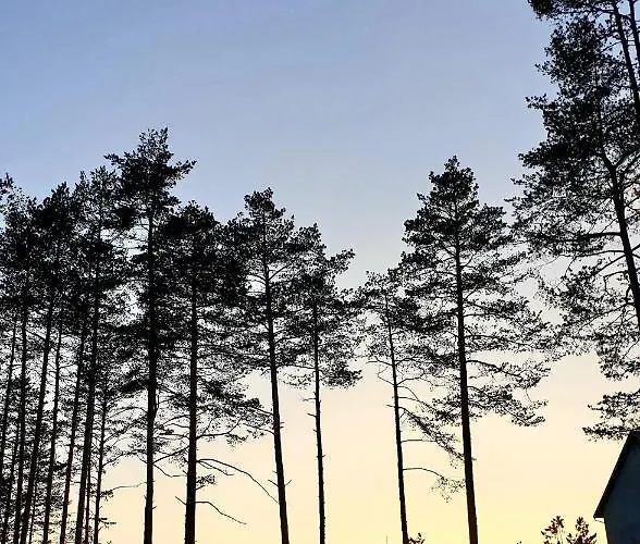 Pogled Gondola Lejlighed Zlatibor